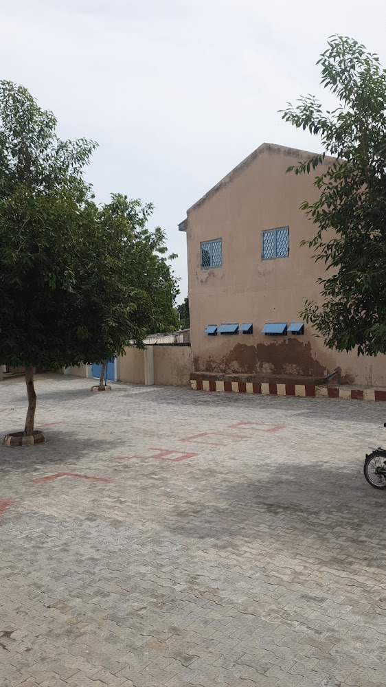 St Patrick Social Centre photo 3